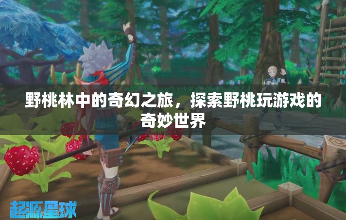 野桃林中的奇幻探險(xiǎn)，解鎖野桃玩游戲的奇妙世界
