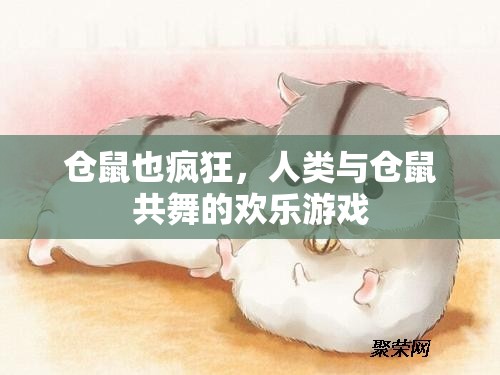 倉鼠狂歡，人類與小寵物的歡樂共舞