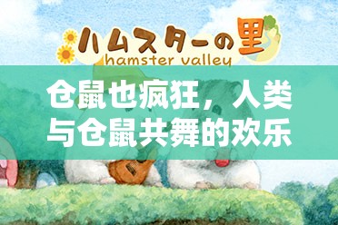 倉鼠狂歡，人類與小寵物的歡樂共舞