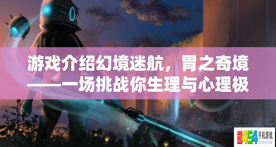 幻境迷航，胃之奇境——挑戰(zhàn)生理與心理極限的冒險(xiǎn)之旅