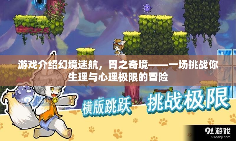 幻境迷航，胃之奇境——挑戰(zhàn)生理與心理極限的冒險(xiǎn)之旅