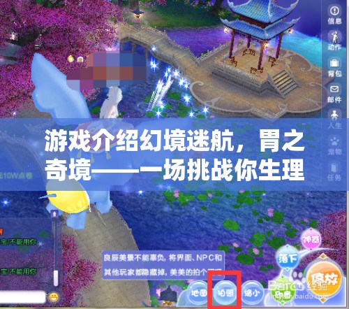幻境迷航，胃之奇境——挑戰(zhàn)生理與心理極限的冒險(xiǎn)之旅