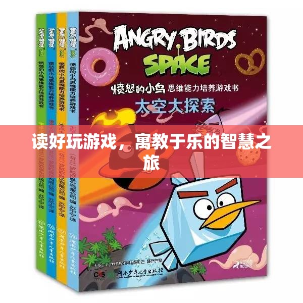 寓教于樂，讀好玩游戲的智慧之旅
