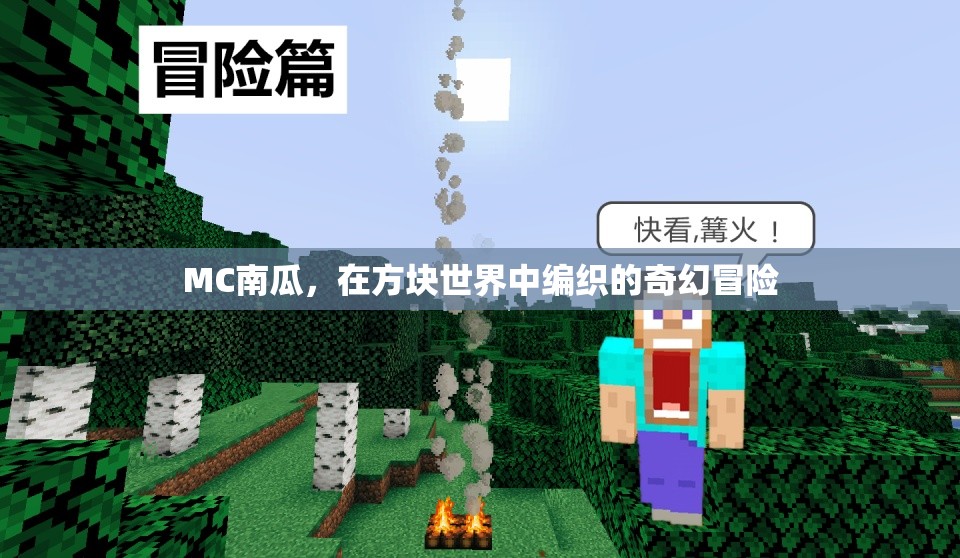 MC南瓜，在方塊世界中編織的奇幻冒險(xiǎn)
