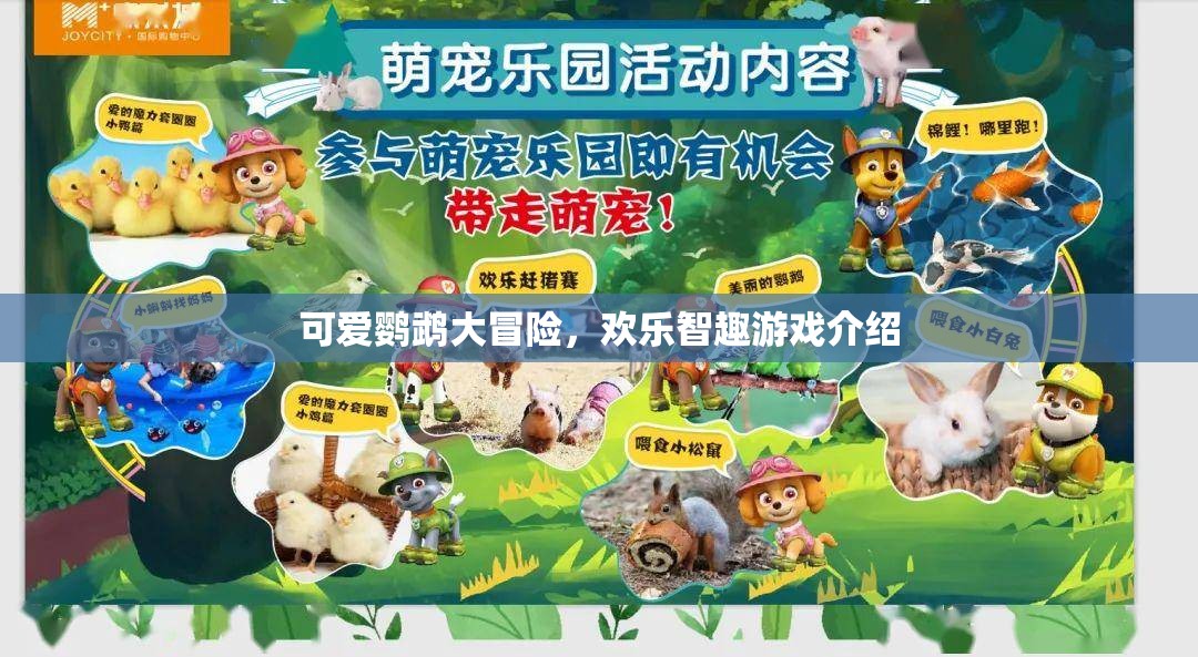 鸚鵡奇趣大冒險(xiǎn)，歡樂(lè)智趣游戲
