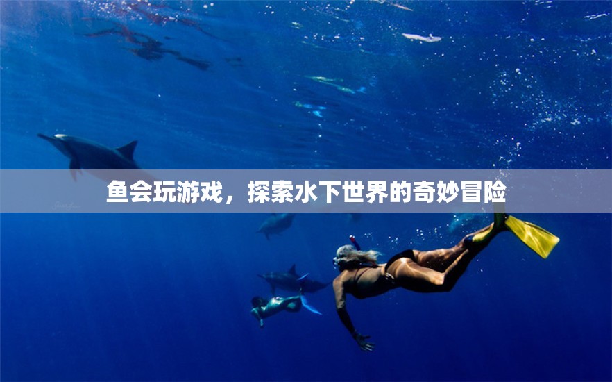 魚(yú)之樂(lè)，水下世界的奇妙游戲冒險(xiǎn)