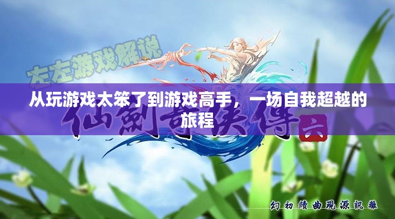 從菜鳥(niǎo)到高手，一場(chǎng)自我超越的游戲之旅