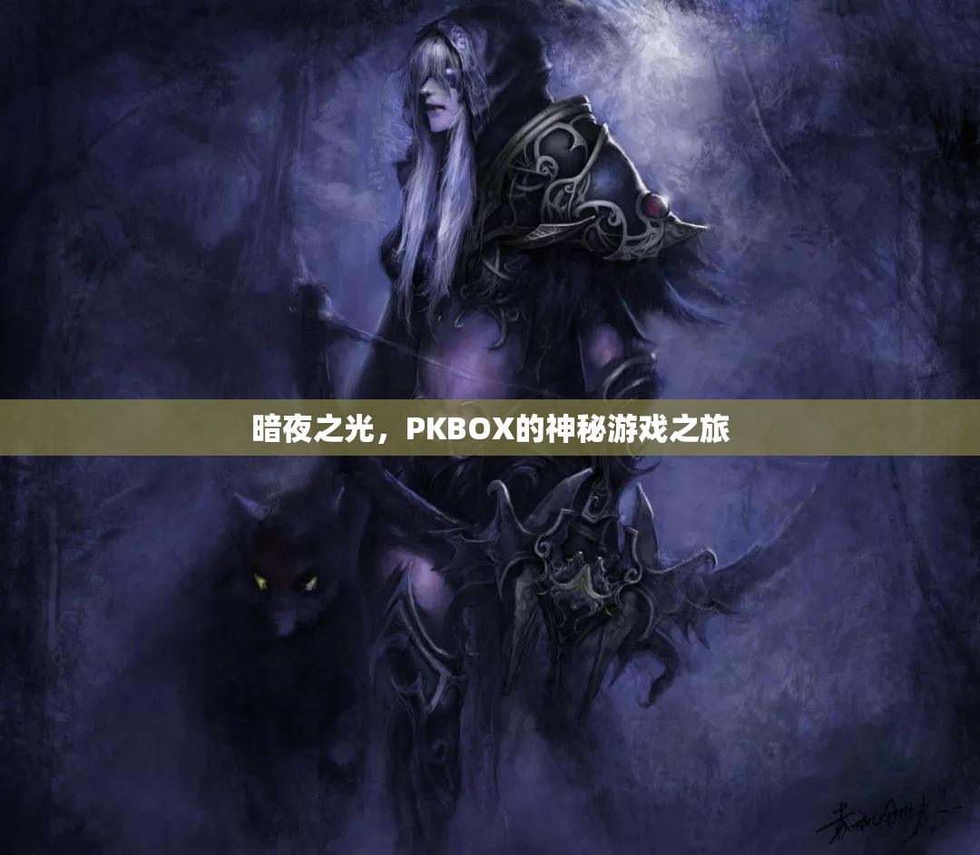 暗夜之光，PKBOX的神秘游戲探險之旅