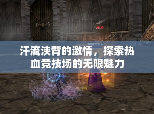 熱血競(jìng)技場(chǎng)，汗流浹背的激情探索