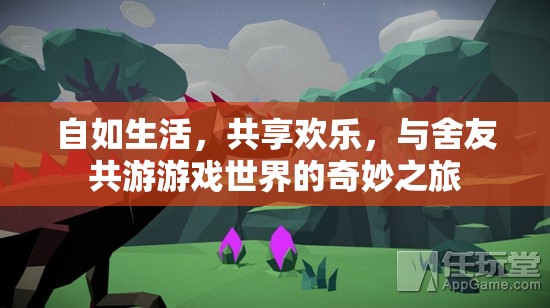 共享歡樂(lè)，與舍友共游游戲世界的奇妙之旅