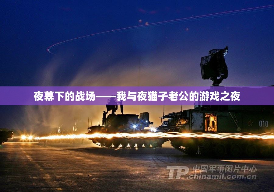 夜幕下的對(duì)決，我與夜貓子老公的歡樂游戲之夜