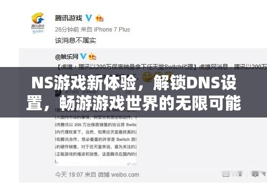 解鎖NS游戲新境界，DNS設(shè)置帶你遨游無限游戲世界