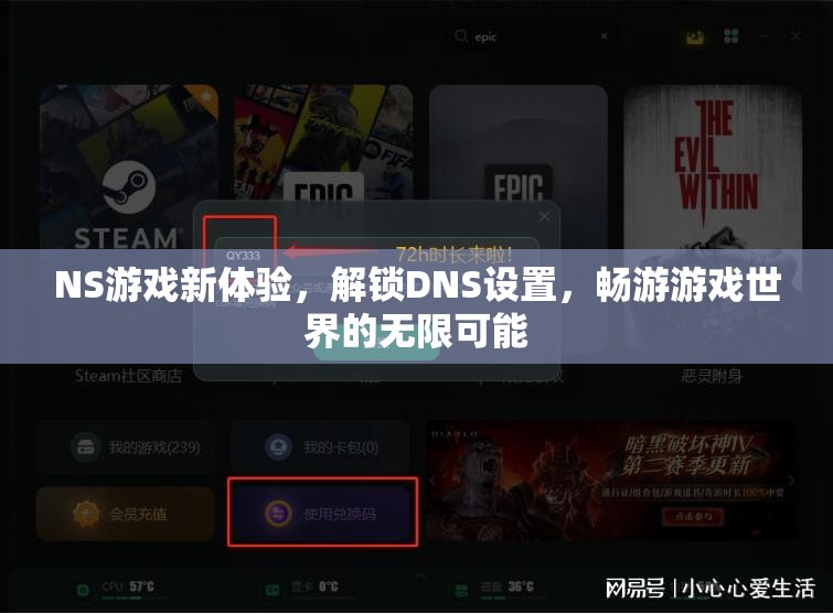 解鎖NS游戲新境界，DNS設(shè)置帶你遨游無限游戲世界