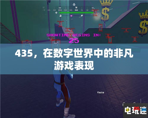 數(shù)字世界中的非凡表現(xiàn)，揭秘435的獨(dú)特游戲魅力