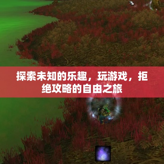 拒絕攻略，探索未知，一場(chǎng)自由的游戲之旅