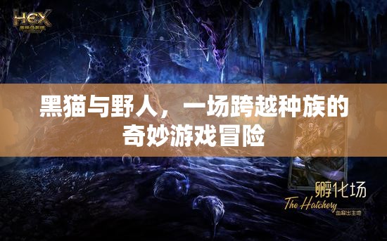 黑貓與野人的奇幻冒險(xiǎn)，跨越種族的奇妙游戲