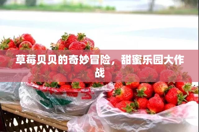 草莓貝貝的甜蜜樂(lè)園大冒險(xiǎn)，一場(chǎng)味蕾與想象的奇妙之旅
