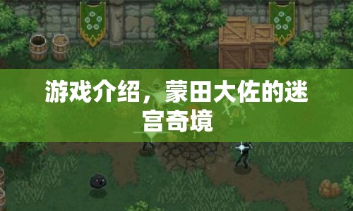 蒙田大佐的迷宮奇境，一場解謎與冒險(xiǎn)的盛宴