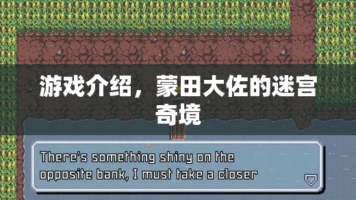 蒙田大佐的迷宮奇境，一場解謎與冒險(xiǎn)的盛宴