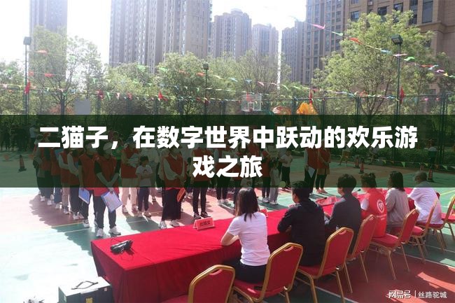 二貓子，數(shù)字世界中的歡樂游戲冒險之旅