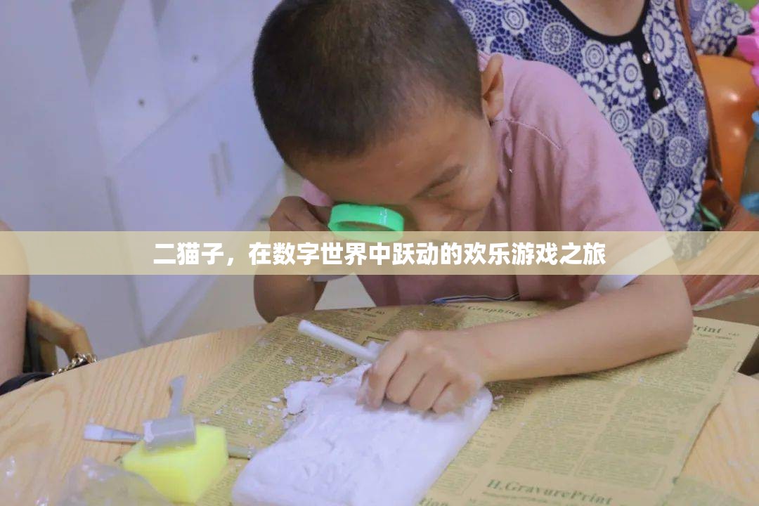 二貓子，數(shù)字世界中的歡樂游戲冒險之旅