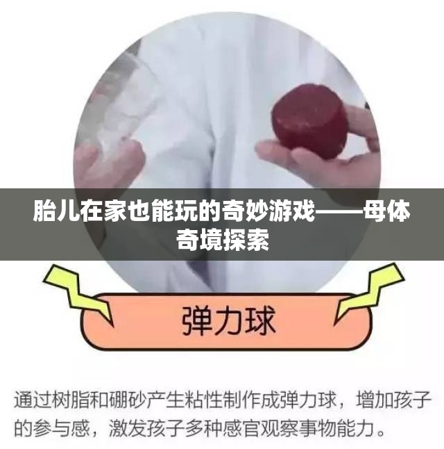 母體奇境，胎兒在家中的奇妙探索之旅