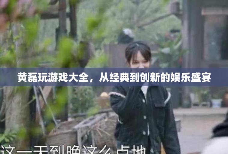 黃磊的經(jīng)典與創(chuàng)新游戲大全，娛樂盛宴的全面解析