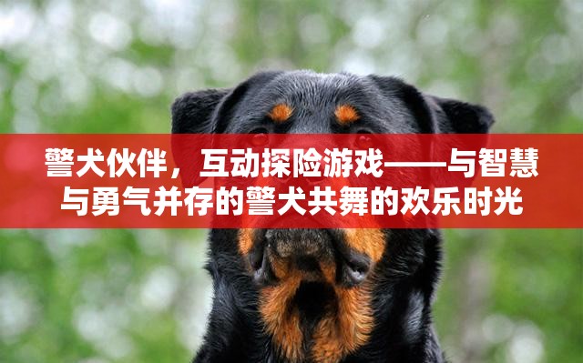警犬伙伴，智慧與勇氣的互動探險游戲