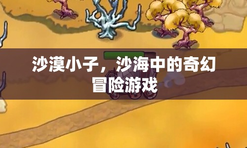 沙漠小子，沙海奇幻冒險(xiǎn)之旅