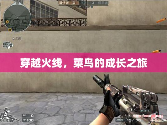菜鳥的成長之路，穿越火線中的蛻變與挑戰(zhàn)