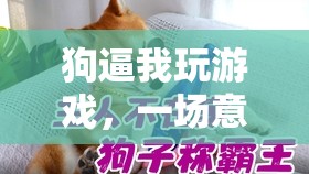 狗的‘逼迫’，一場(chǎng)意想不到的歡樂(lè)冒險(xiǎn)之旅