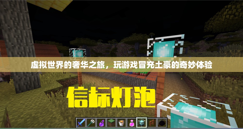 虛擬奢華之旅，游戲中的土豪奇遇