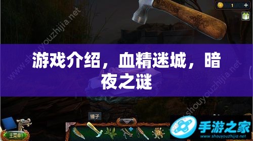 血精迷城，暗夜之謎——揭秘暗夜世界的奇幻冒險(xiǎn)