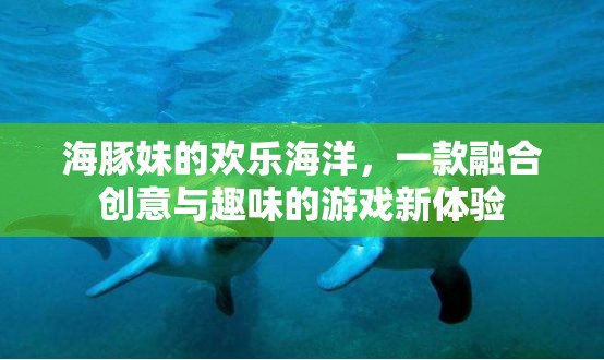 海豚妹的歡樂海洋，創(chuàng)意與趣味并蓄的全新游戲體驗
