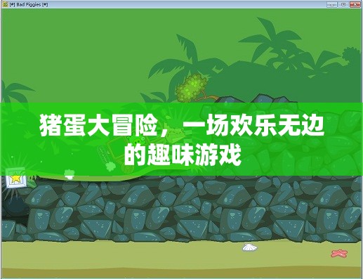 豬蛋奇趣大冒險(xiǎn)，歡樂(lè)無(wú)邊的趣味游戲之旅