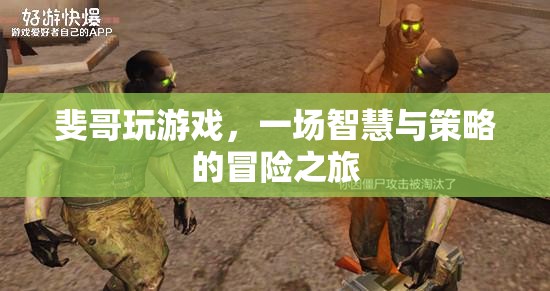 斐哥的智慧與策略，一場游戲中的冒險之旅