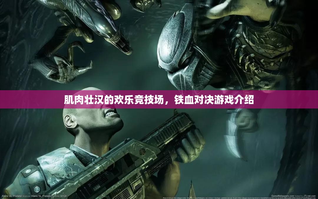 鐵血對(duì)決，肌肉壯漢的歡樂競技場