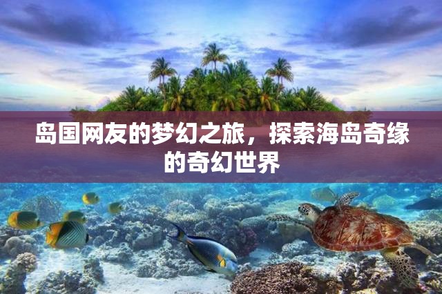 海島奇緣，島國網(wǎng)友的夢幻探險之旅