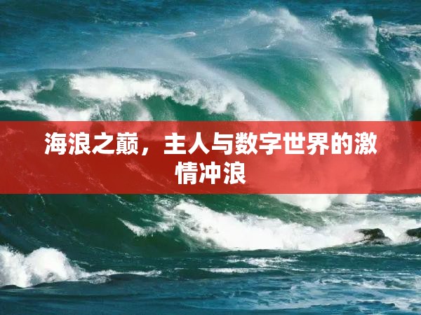 海浪之巔，數(shù)字世界的激情沖浪