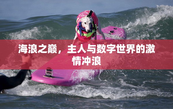 海浪之巔，數(shù)字世界的激情沖浪