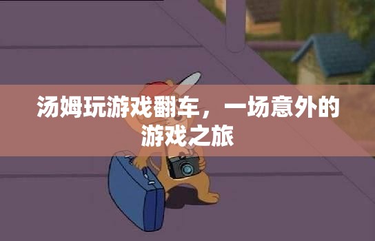 湯姆游戲意外之旅，從勝利到翻車的驚險(xiǎn)旅程