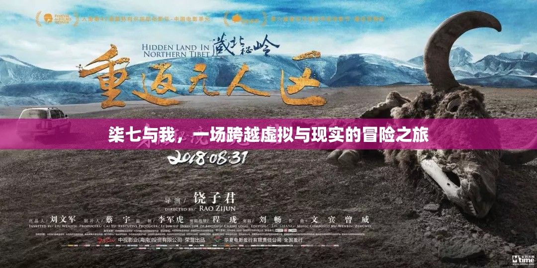 柒七與我，虛擬與現(xiàn)實(shí)的冒險之旅