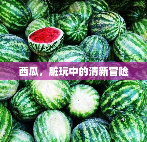 西瓜，夏日里的清新冒險