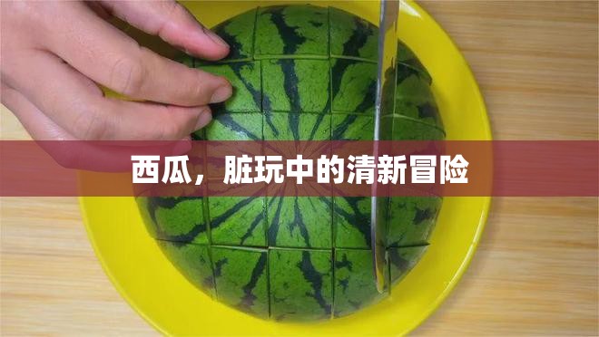 西瓜，夏日里的清新冒險
