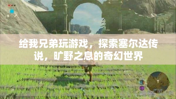 探索塞爾達傳說，曠野之息的奇幻世界之旅