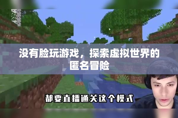 匿名冒險(xiǎn)，探索虛擬世界的無臉挑戰(zhàn)