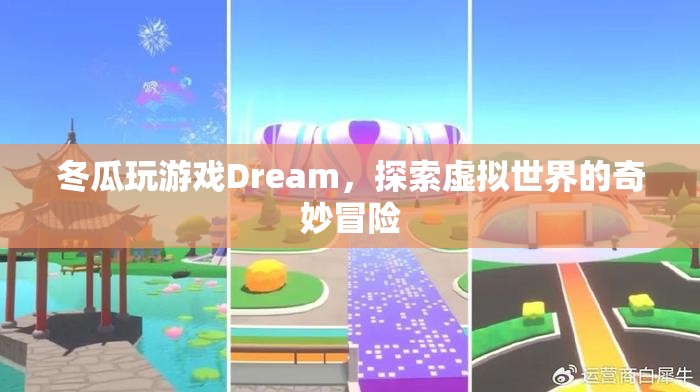 冬瓜探索Dream虛擬世界，奇妙冒險之旅
