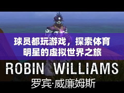 體育明星的虛擬世界之旅，揭秘他們?nèi)绾瓮孓D(zhuǎn)游戲