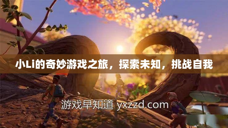 小Li的奇妙冒險，探索未知，挑戰(zhàn)自我之旅