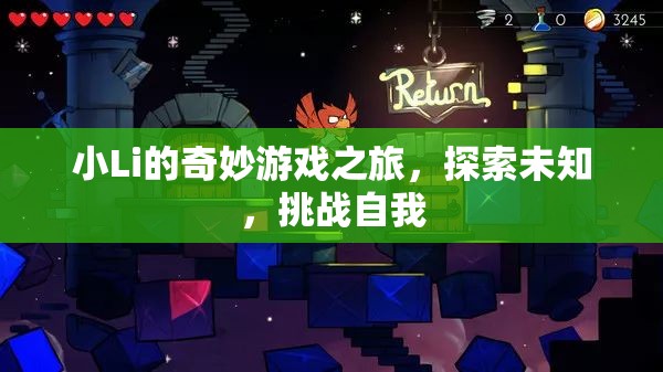小Li的奇妙冒險，探索未知，挑戰(zhàn)自我之旅